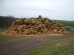 Das Osterfeuer